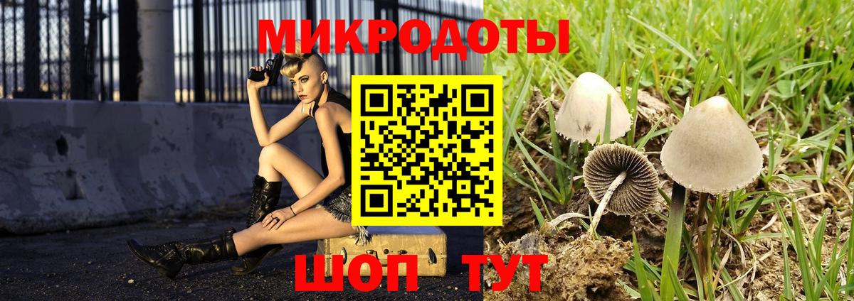 Галлюциногенные грибы прущие грибы Александров